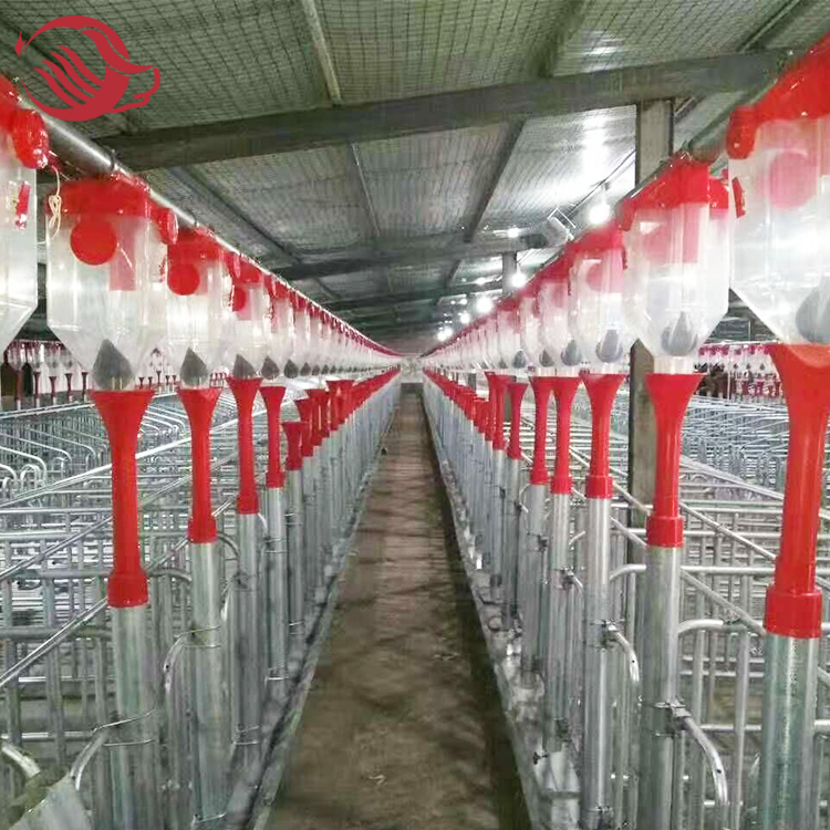 Pig farm automatic feeding system