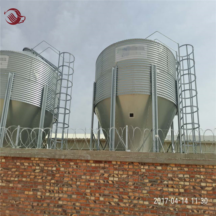 Poultry chicken feeding equipment silo for storage feed / Silo