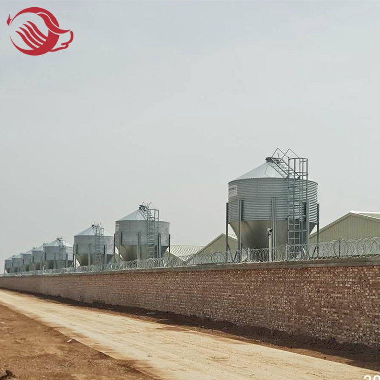 Pig farming feeding project in Henan