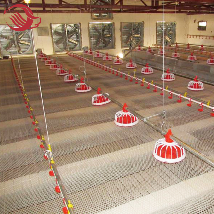 poultry farm feeding equipment for broiler farm
