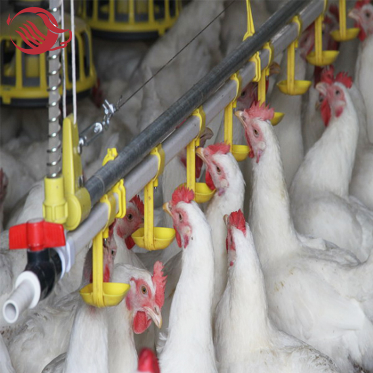 Poultry chicken automatic water nipple drinker for birds