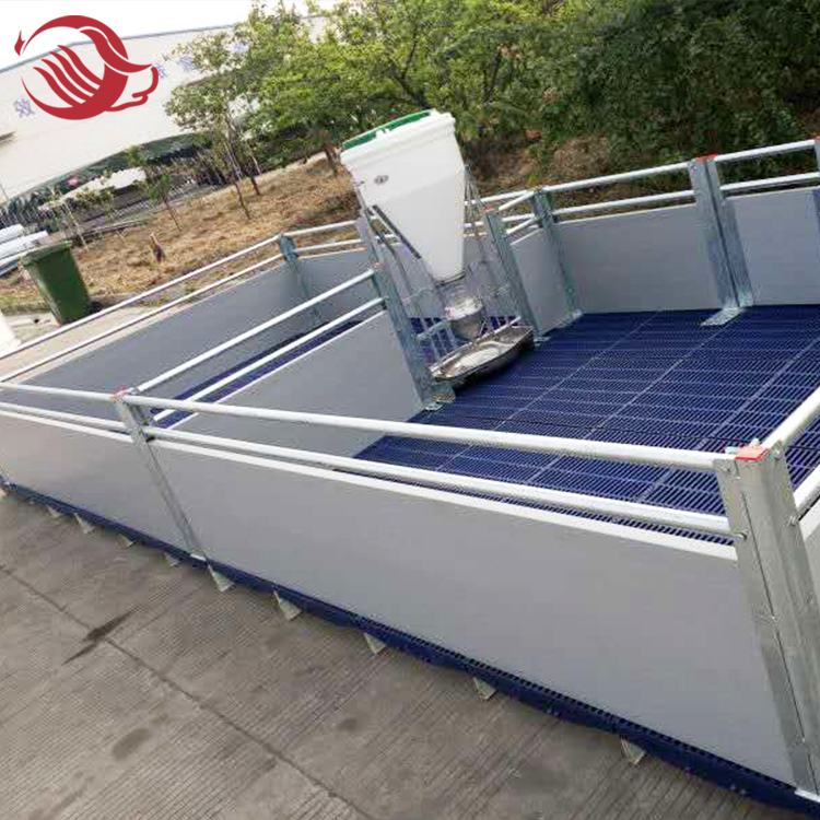 Pig House Nursery Pens Weaner Crates
