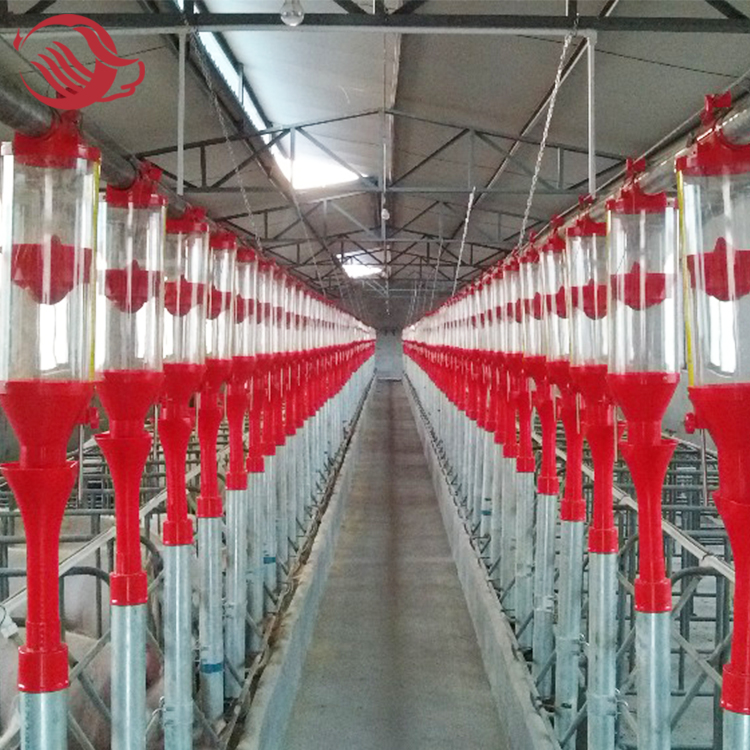 pig Disc Chain automatic Feeding System