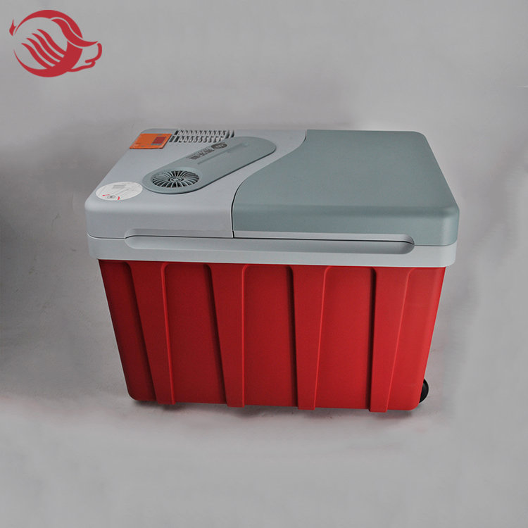 Constant Temperature Vehicle Mounted Refrigerator