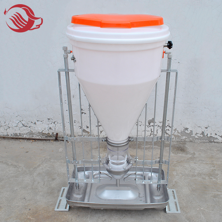 Pig Automatic Dry-Wet Feeder 